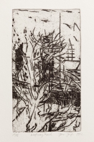 intaglio print on paper by Jane Joseph